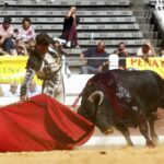 Dax, domingo 8 de septiembre de 2019. Novillada matinal