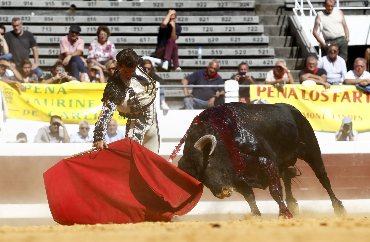 Dax, domingo 8 de septiembre de 2019. Novillada matinal