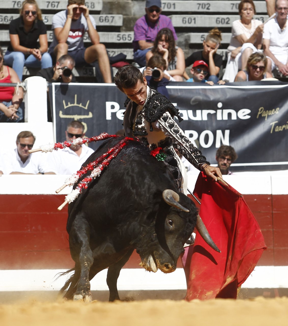 Dax, domingo 8 de septiembre de 2019. Novillada matinal