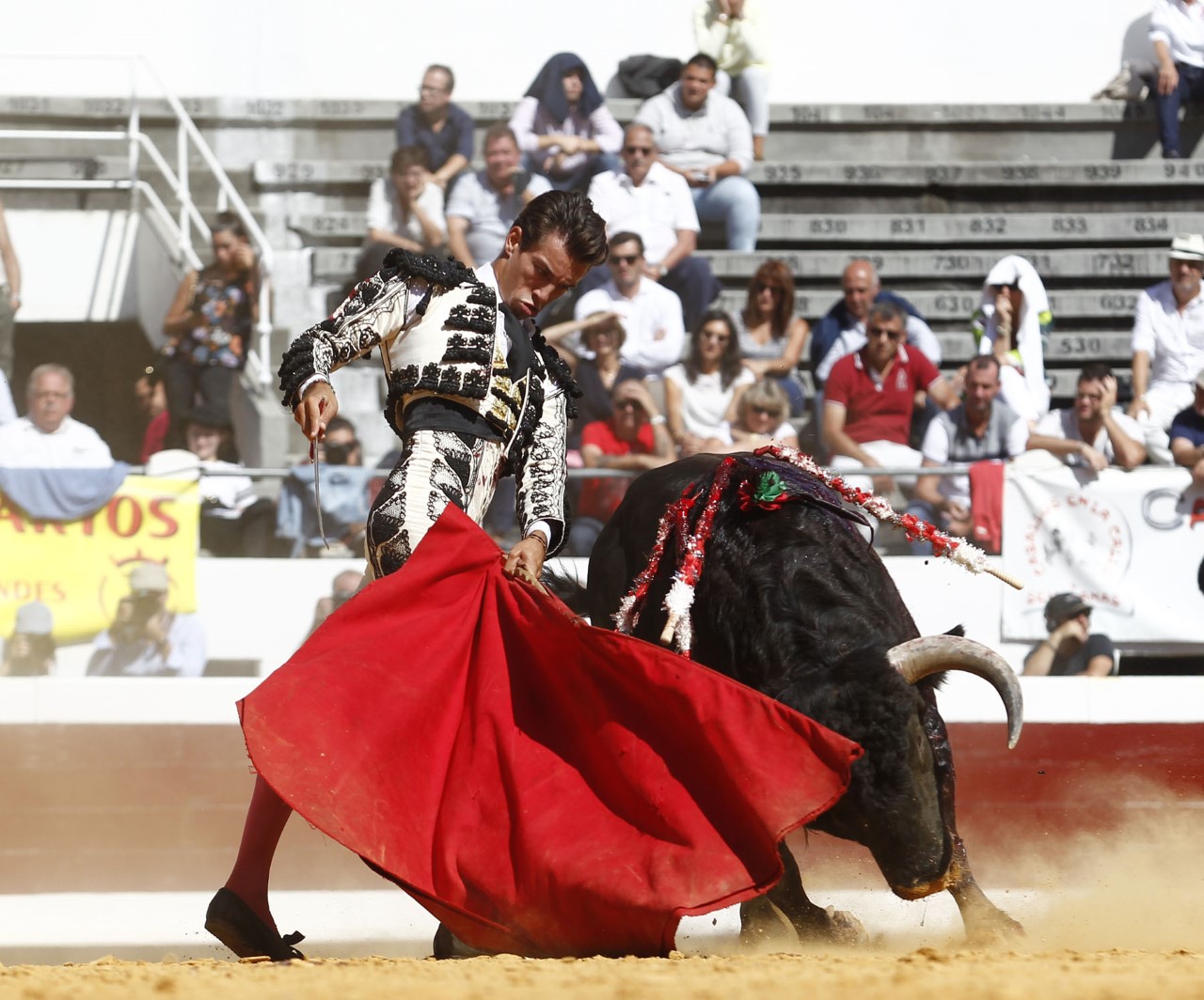 Dax, domingo 8 de septiembre de 2019. Novillada matinal