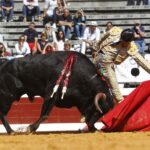 Dax, domingo 8 de septiembre de 2019. Novillada matinal