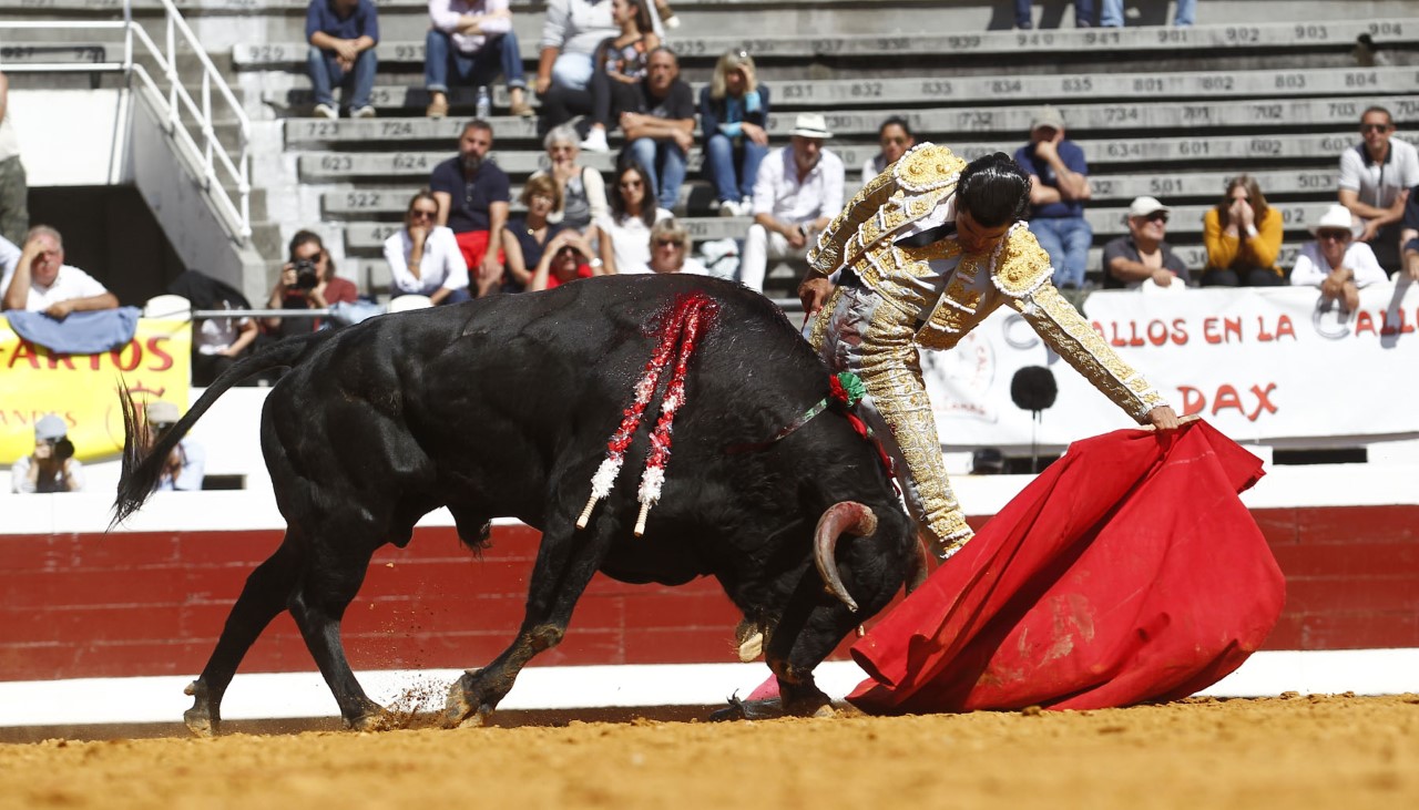 Dax, domingo 8 de septiembre de 2019. Novillada matinal