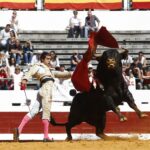 Dax, domingo 8 de septiembre de 2019. Novillada matinal