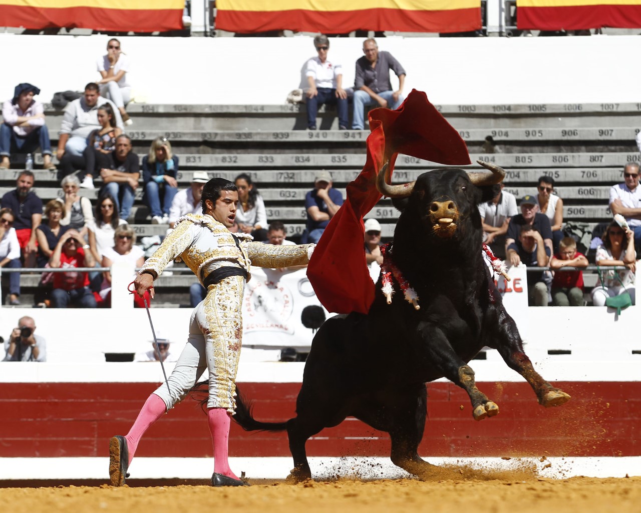 Dax, domingo 8 de septiembre de 2019. Novillada matinal