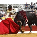 Dax, domingo 8 de septiembre de 2019. Novillada matinal