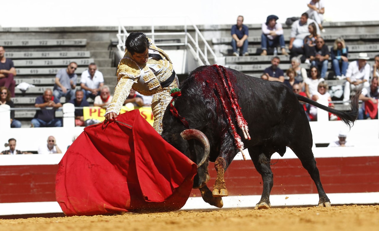 Dax, domingo 8 de septiembre de 2019. Novillada matinal