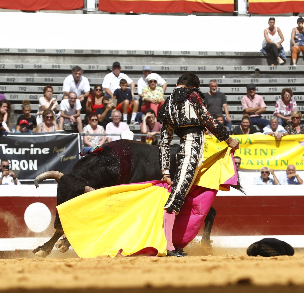 Dax, domingo 8 de septiembre de 2019. Novillada matinal