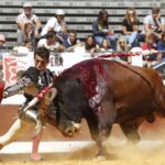 Dax, domingo 8 de septiembre de 2019. Novillada matinal