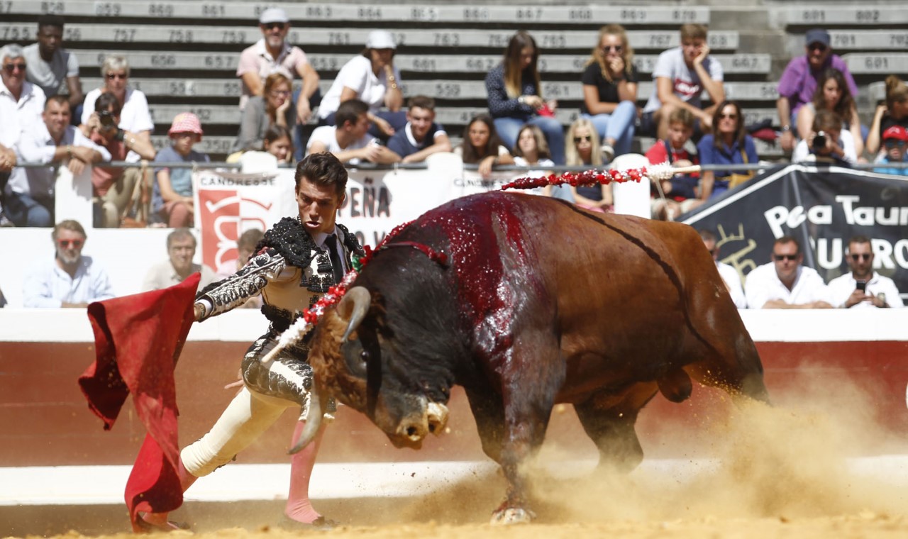 Dax, domingo 8 de septiembre de 2019. Novillada matinal