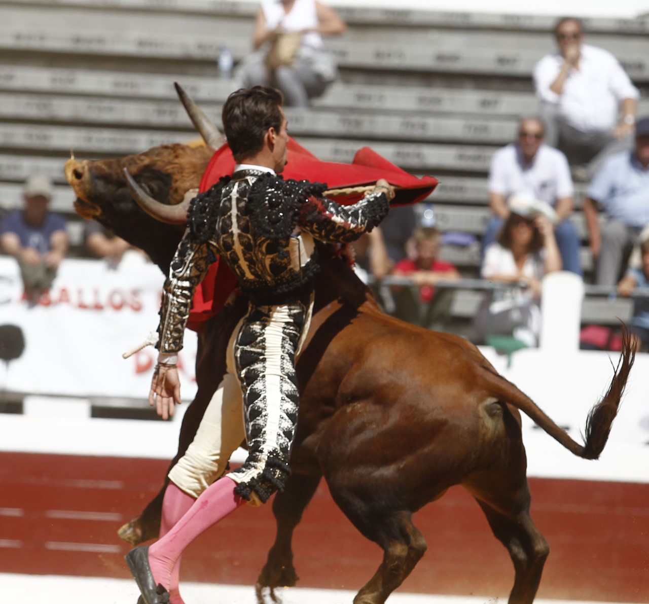 Dax, domingo 8 de septiembre de 2019. Novillada matinal