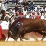 Dax, domingo 8 de septiembre de 2019. Novillada matinal