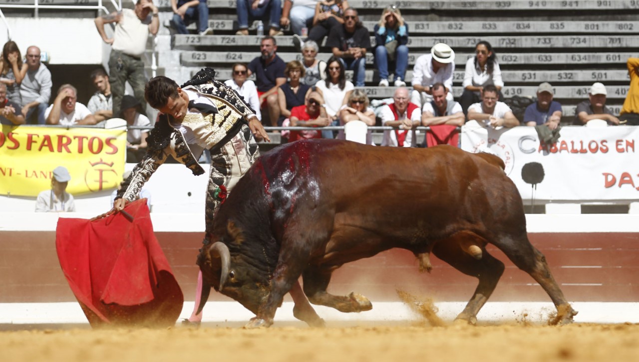 Dax, domingo 8 de septiembre de 2019. Novillada matinal