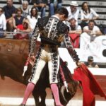 Dax, domingo 8 de septiembre de 2019. Novillada matinal