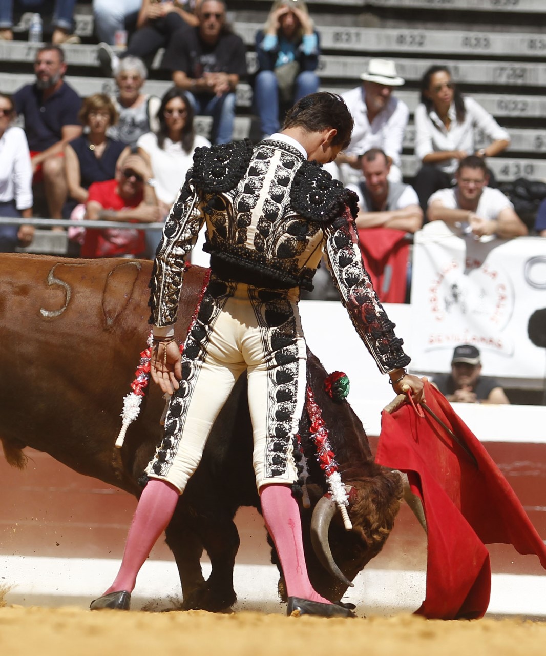 Dax, domingo 8 de septiembre de 2019. Novillada matinal