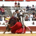 Dax, domingo 8 de septiembre de 2019. Novillada matinal