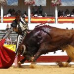 Dax, domingo 8 de septiembre de 2019. Novillada matinal