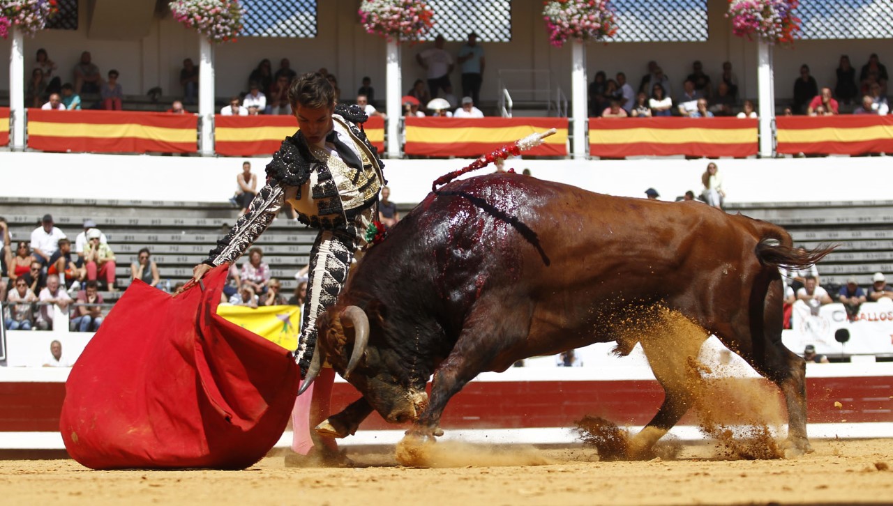 Dax, domingo 8 de septiembre de 2019. Novillada matinal