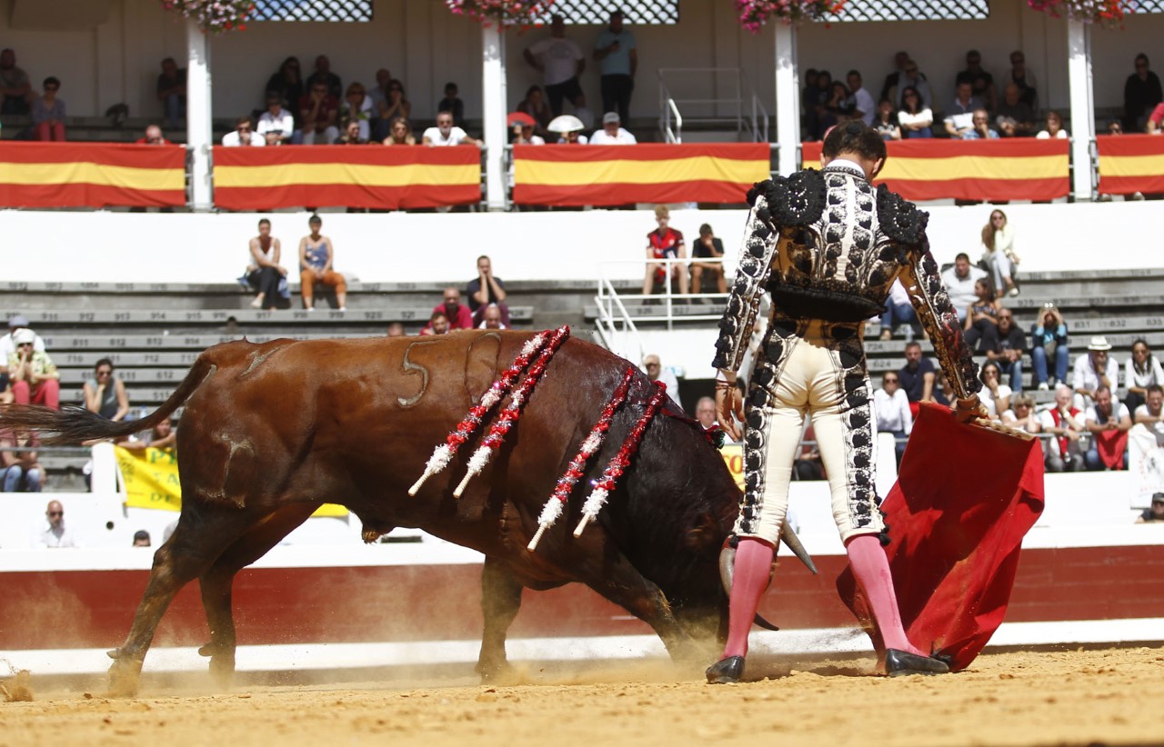 Dax, domingo 8 de septiembre de 2019. Novillada matinal