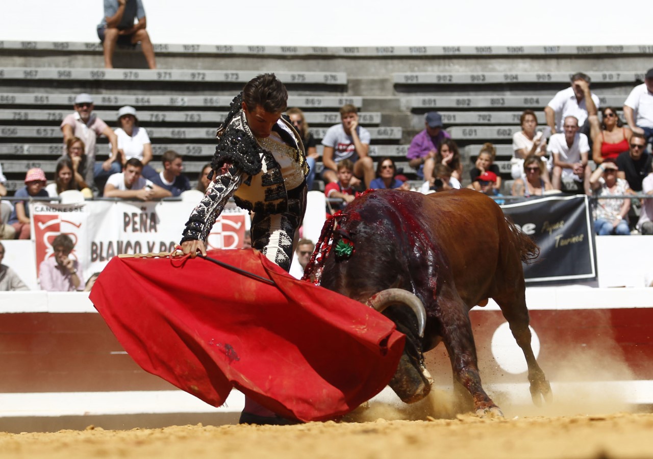 Dax, domingo 8 de septiembre de 2019. Novillada matinal