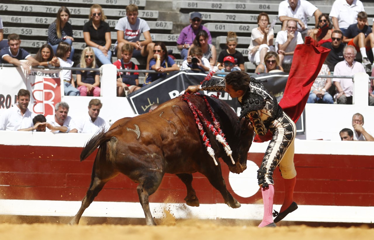 Dax, domingo 8 de septiembre de 2019. Novillada matinal