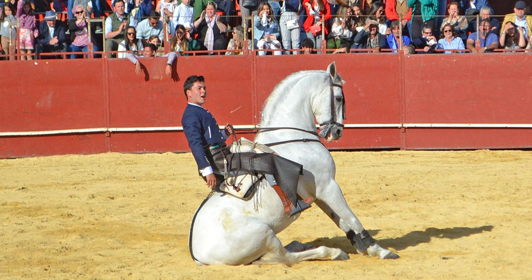 Persiste un coágulo en la cabeza del rejoneador Sánchez Zambrano