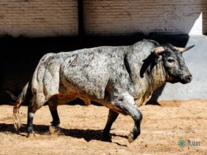 Sorteo. Madrid, domingo 1 de septiembre de 2019