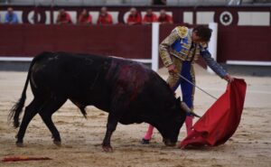 Madrid, domingo 1 de septiembre de 2019