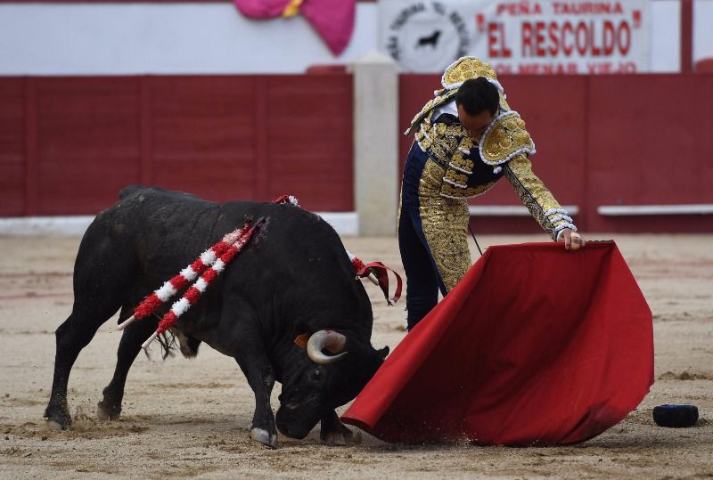 El Cid y Baratero, premiados en Colmenar Viejo