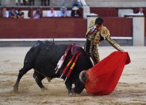 Madrid, domingo 8 de septiembre de 2019