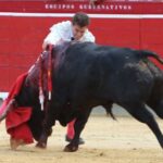 Albacete, domingo 8 de septiembre de 2019