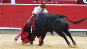 Albacete, domingo 8 de septiembre de 2019