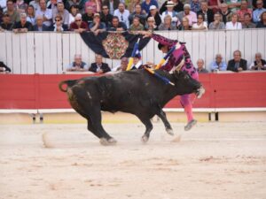 Arles, domingo 8 de septiembre de 2019
