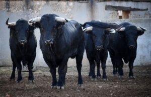 Sorteo. Salamanca, sábado 14 de septiembre de 2019