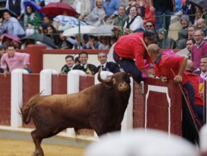 Valladolid, sábado 14 de septiembre de 2019