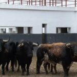 Sorteo. Albacete, 15 de septiembre de 2019