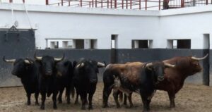 Sorteo. Albacete, 15 de septiembre de 2019