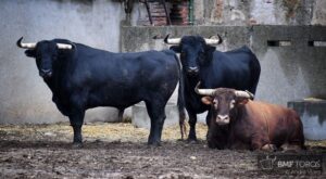 Sorteo. Salamanca, domingo 15 de septiembre de 2019