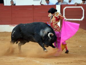 Zafra (Badajoz) - Corrida de toros - Sábado 29 de septiembre de 2018
