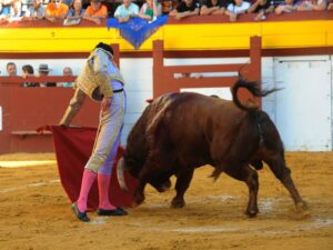 Algemesí, viernes 27 de septiembre de 2019