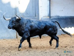 Sorteo. Madrid, sábado 28 de septiembre de 2019