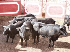 Sorteo. Soria, sábado 28 de septiembre de 2019