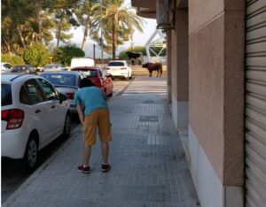 Algemesí, sábado 28 de septiembre de 2019