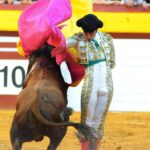 Algemesí, sábado 28 de septiembre de 2019