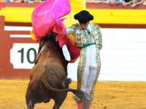 Algemesí, sábado 28 de septiembre de 2019
