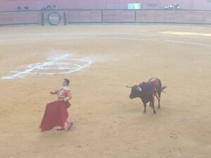 Arnedo, domingo 29 de septiembre de 2019