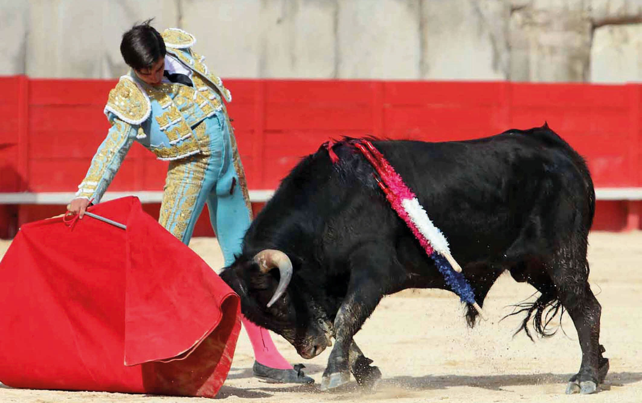 Soustons programa una particular novillada: la Copa de Francia