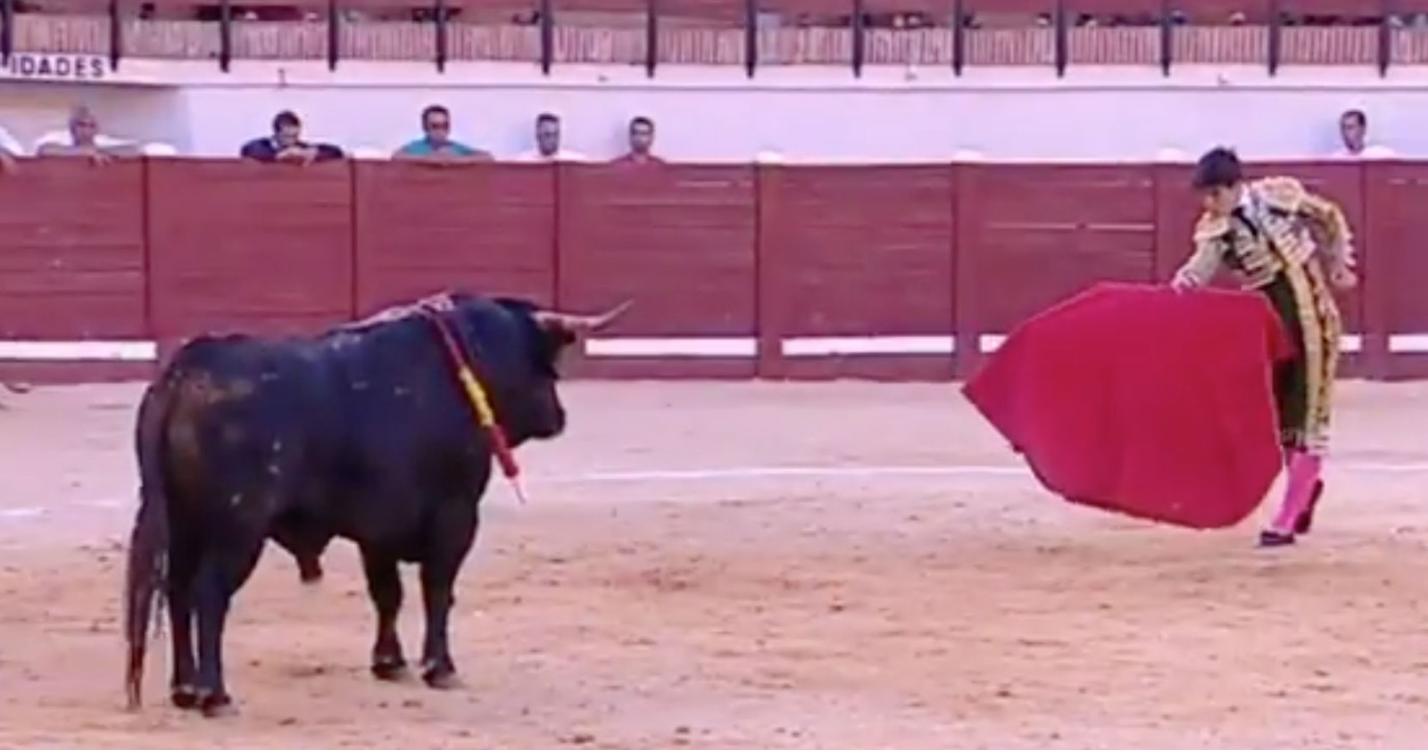 Esaú indulta un gran Duque de Daniel Ruiz en Motilla