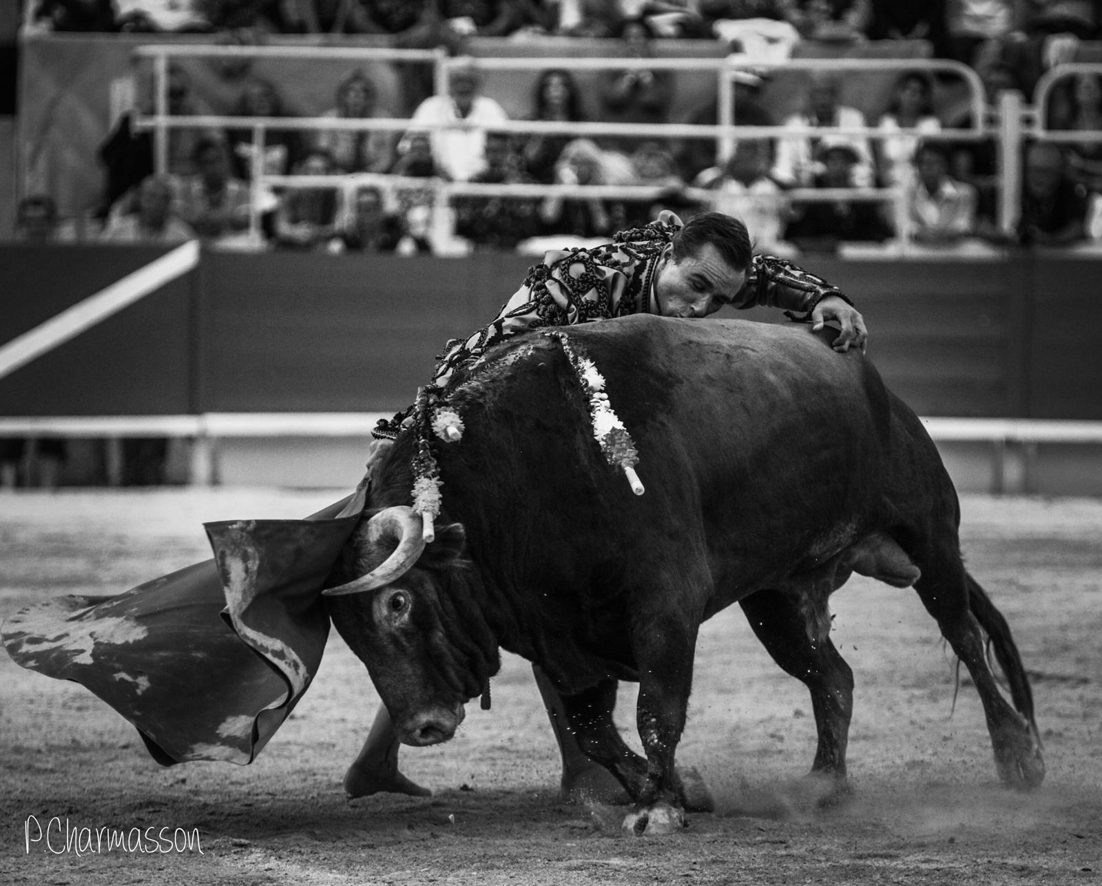 El beso de Juan Bautista al último toro de su carrera