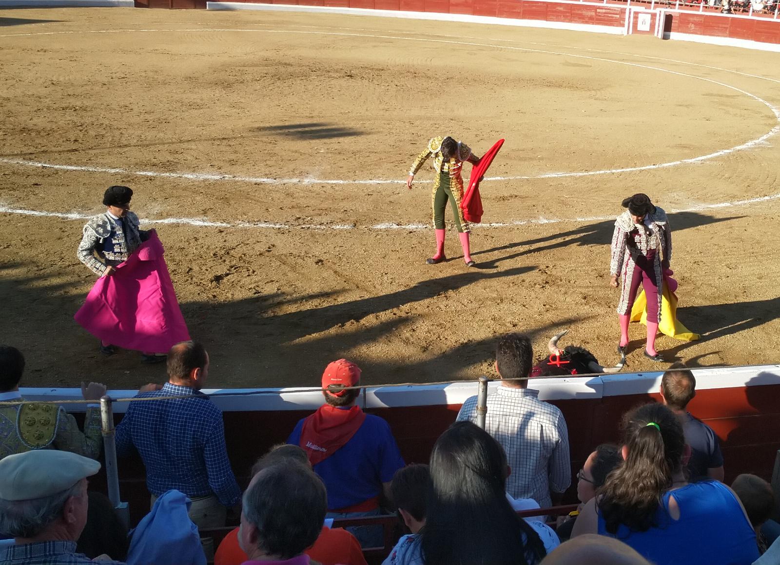 Marcos, herido en Guadarrama