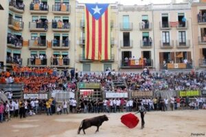 Correbous en Cardona. Foto: Vadebraus.com